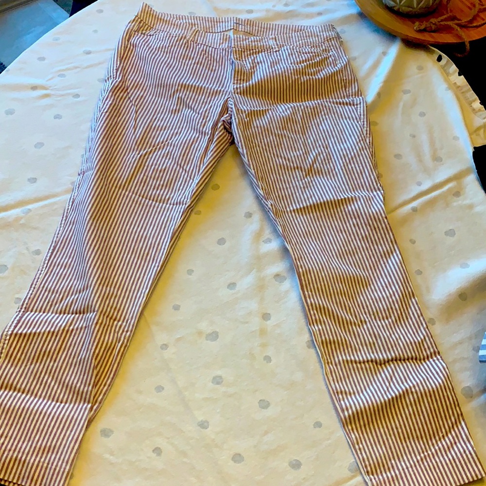 Maroon and cream pixie dress pants